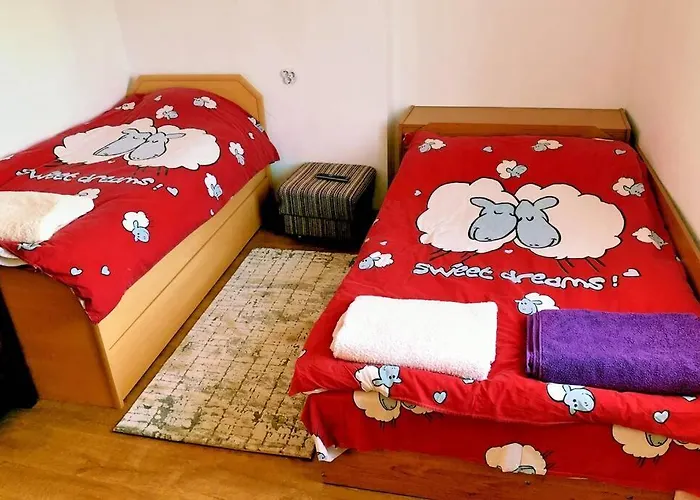 нouse With Cute Little Yard