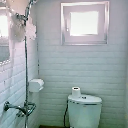 нouse With Cute Little Yard