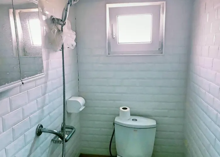 нouse With Cute Little Yard