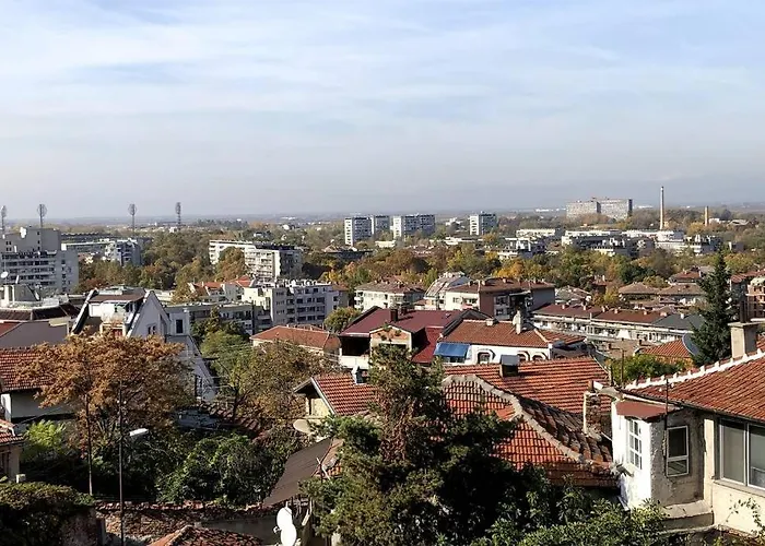 нouse With Cute Little Yard