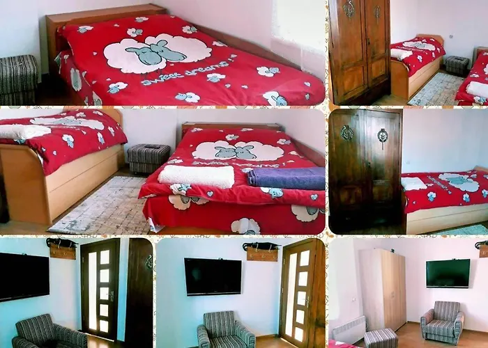 нouse With Cute Little Yard *